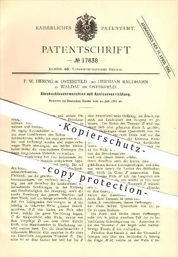 original Patent - F. W. Hering in Osterfeld u. H. Raudhahn in Waldau,1881, Strohschleudermaschine mit Auslesevorrichtung