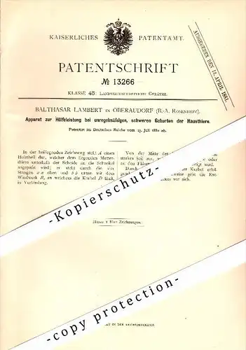 Original Patent - Balthasar Lambert in Oberaudorf b. Rosenheim , 1880 , Apparat zur Geburt von Tieren , Tierarzt  !!!