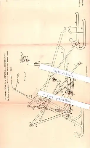 Original Patent - L. Thanner in Börwang bei Haldenwang , 1890 , Schlitten mit Fahrkufen , Kempten !!!