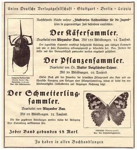 original Werbung - 1925 - Der Käfersammler , Schmetteringe , Schmetterlingssammler , Käfer , Buchhandlung  !!!