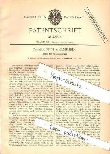 Original Patent - Dr. Max Neide in Oldisleben , 1887 , Darre für Rübenschnitzel , Landwirtschaft !!!