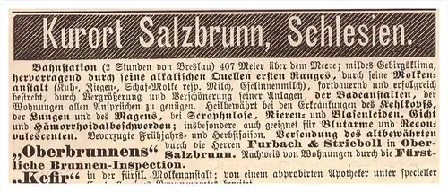original Werbung - 1888 - Ober Salzbrunn / Szczawno-Zdroj , Schlesien , Kur , Arzt , Krankenhaus , Apotheke