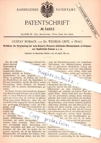Original Patent  - G. Noback und Dr. W. Gintl in Prag , 1885 , beim Brauerei-Prozesse abfallende Nebenproducte !!!