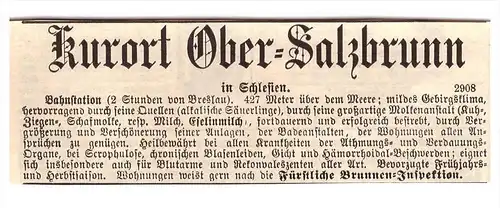 original Werbung - 1884 - Ober Salzbrunn / Szczawno-Zdroj , Schlesien , Kur , Arzt , Krankenhaus , Apotheke