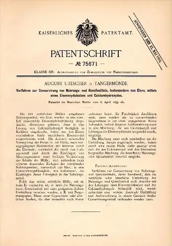 Original Patent - August Utescher in Tangermünde ,1893 ,Conservierung von Nahrung und Genußmitteln , Eier , Lebensmittel