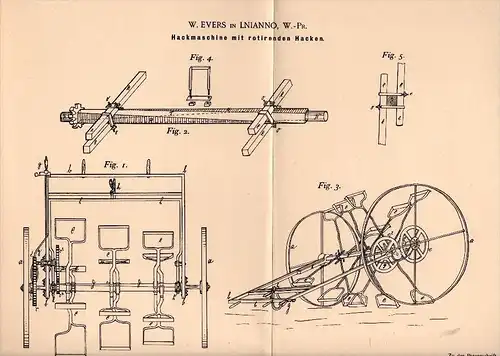 Original Patentschrift - W. Evers in Lianno / Lniano i. Westpr. , 1895 , Hackmaschine , Landwirtschaft , Agrar , Linne !