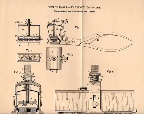 Original Patentschrift - G. Daws in Kapstadt , 1895 , Apparat zum Tätowieren von Tieren , Tätowierer , Tierarzt !!!