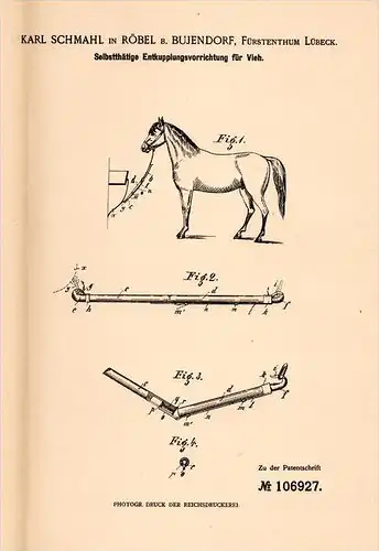 Original Patentschrift - Karl Schmahl in Süsel , 1898 , Entkuppelung für Vieh , Pferde , Tierzucht , Bujendorf !!!