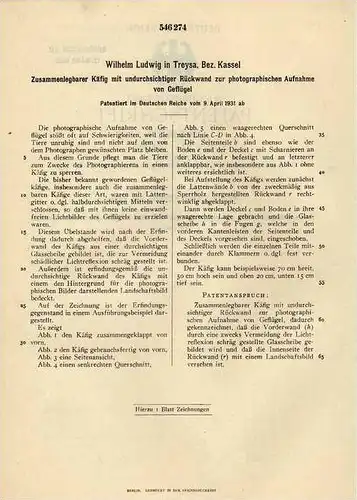 Original Patentschrift - W. Ludwig in Treysa b. Schwalmstadt , 1931 , Photographie , photographische Rückwand !!!