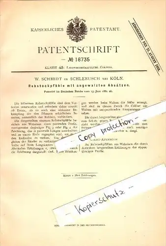 Original Patent - W. Schmidt in Schlebusch b. Köln , 1881 , Rebstockpfähle , Rebstock , Reblaus - Bekämpfung !!!