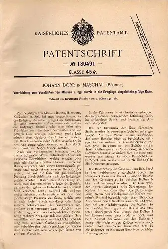 Original Patentschrift - Johann Dorr in Maschau / Maš&#357;ov b. Kada&#328; / Kaaden , 1901, Apparat zum Vernichten von