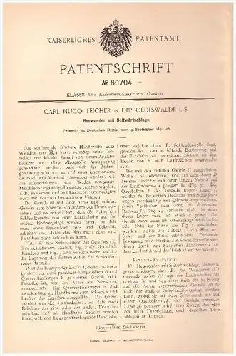 Original Patentschrift - Carl Hugo Teicher in Dippoldiswalde i.S. , 1894 , Heuwender , Landwirtschaft , Agrar !!!