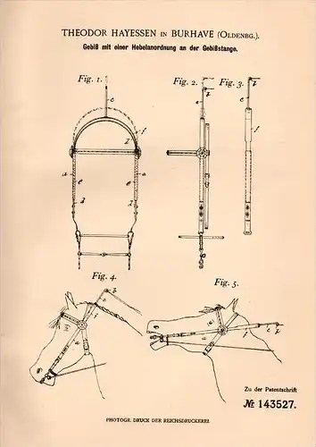 Original Patentschrift - Th. Hayessen in Burhave b. Butjadingen ,1902, Gebiß mit Gebißstange für Pferde , Pferd , Reiten