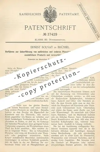 original Patent - Ernest Solvay , Brüssel , 1885 , Assimilation durch Pflanzen | Dünger , Landwirtschaft , Gärtner !!!