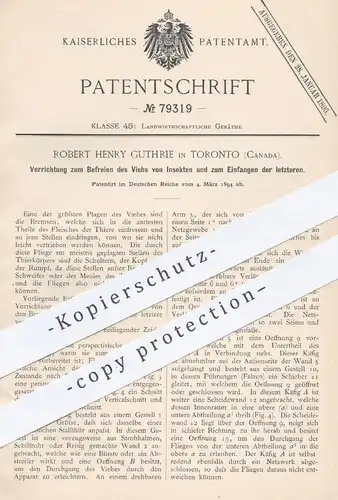 original Patent - Robert Henry Guthrie , Toronto Kanada , 1894 , Befreien des Viehs von Insekten | Tierzucht , Viehzucht