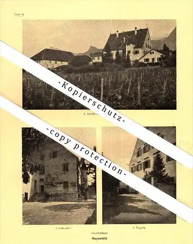 Photographien / Ansichten , 1924 , Mayenfeld / Maienfeld , Region Landquart , Prospekt , Architektur , Fotos !!!