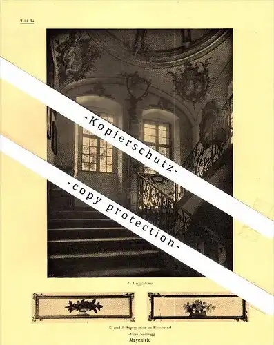 Photographien / Ansichten , 1924 , Mayenfeld / Maienfeld , Region Landquart , Prospekt , Architektur , Fotos !!!