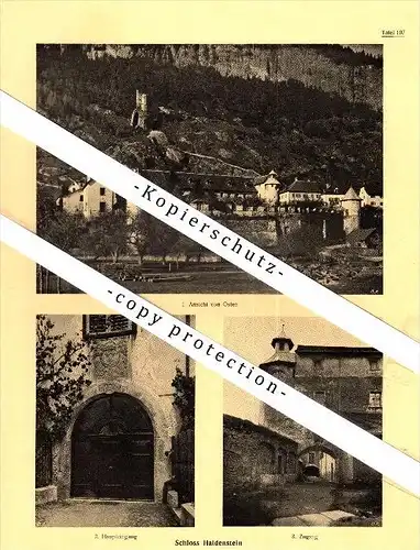 Photographien / Ansichten , 1924 , Schloss Haldenstein , Prospekt , Architektur , Fotos !!!