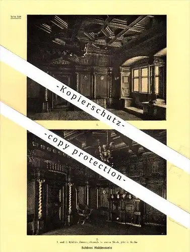 Photographien / Ansichten , 1924 , Schloss Haldenstein , Prospekt , Architektur , Fotos !!!