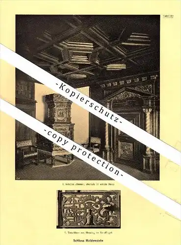 Photographien / Ansichten , 1924 , Schloss Haldenstein , Prospekt , Architektur , Fotos !!!