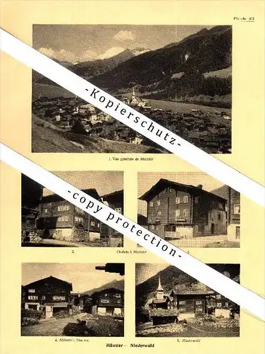 Photographien / Ansichten , 1935 , Münster , Niederwald , Prospekt , Architektur , Fotos !!!