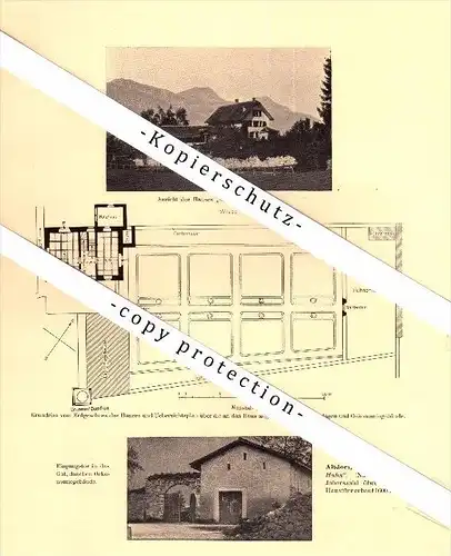 Photographien / Ansichten , 1910 , Altdorf , Haus im Huhn , auf dem Lehn , Prospekt , Architektur , Fotos !!!