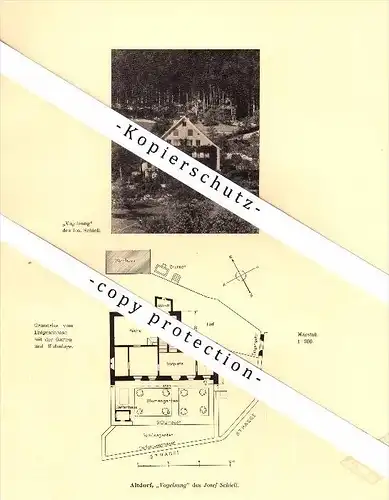 Photographien / Ansichten , 1910 , Altdorf , Vogelsang , Prospekt , Architektur , Fotos !!!