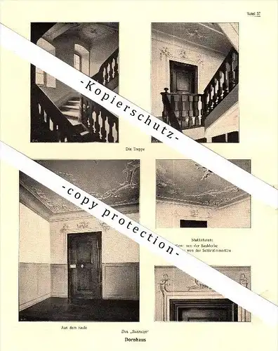 Photographien  / Ansichten , 1919 , Mollis und Dornhaus / Diesbach , Prospekt , Fotos , Architektur !!!