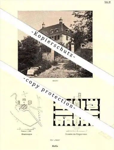 Photographien  / Ansichten , 1919 , Mollis , Haus Haltli , Prospekt , Fotos , Architektur !!!