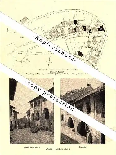 Photographien / Ansichten , 1917 , Erlach - Cerlier und Ligerz / Gléresse , Biel , Prospekt , Fotos , Architektur !!!