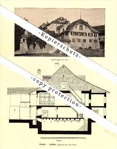 Photographien / Ansichten , 1917 , Erlach - Cerlier , Prospekt , Fotos , Architektur !!!