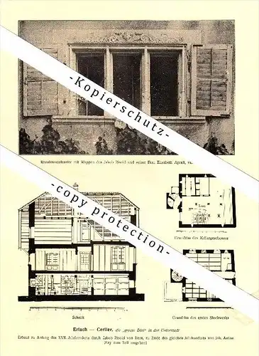Photographien / Ansichten , 1917 , Erlach - Cerlier , Prospekt , Fotos , Architektur !!!