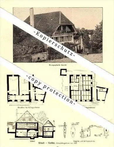 Photographien / Ansichten ,1917, Erlach - Cerlier , Prospekt , Fotos , Architektur !!!