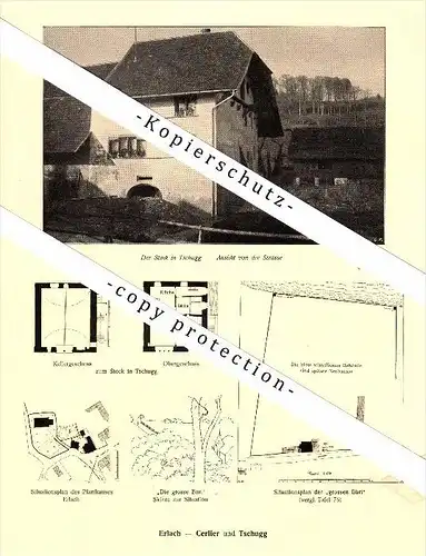 Photographien / Ansichten ,1917, Erlach - Cerlier und Tschugg , Neuenstadt / Neuveville , Prospekt , Fotos , Architektur