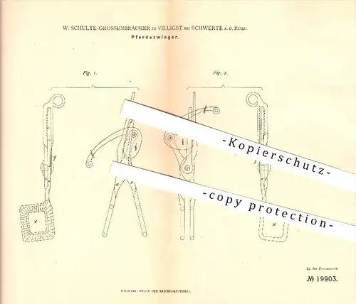 original Patent - W. Schulte-Grossenbräuker in Villigst bei Schwerte a. d. Ruhr , 1882 , Pferdezwinger , Pferd , Pferde