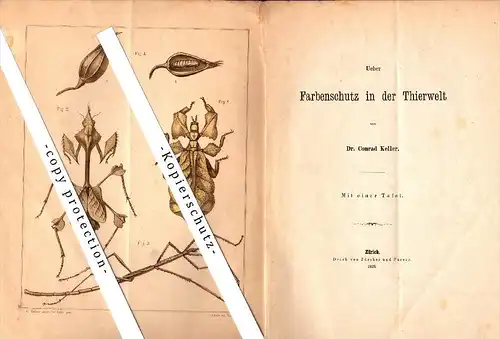 Naturforschende Gesellschaft  , Solothurn 1879 , Heft zum  Farbenschutz in der Tierwelt , Tiere !!!