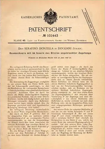 Original Patentschrift - Don Serafino Donzella in Dogliani , 1898 , Cisailles, jardinage, arbre !!!
