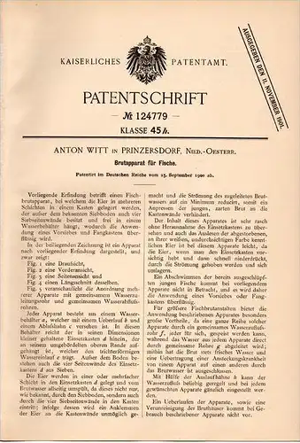 Original Patentschrift - A. Witt in Prinzersdorf , Österreich , 1900 , Brutapparat für Fische , Fisch !!!