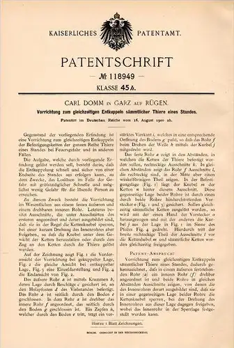 Original Patentschrift - C. Domm in Garz a. Rügen , 1900 , Apparat für Tiere , Bauer , Tierzucht , Bauernhof , Bergen !!