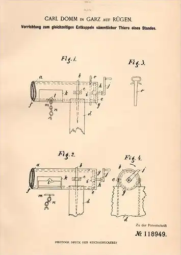 Original Patentschrift - C. Domm in Garz a. Rügen , 1900 , Apparat für Tiere , Bauer , Tierzucht , Bauernhof , Bergen !!