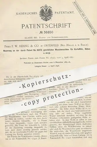 original Patent - F. W. Hering & Co. , Osterfeld / Halle / Saale , 1885 , Waschmaschine für Kartoffeln , Rüben | Zucker
