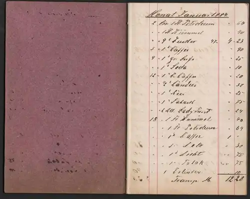 Contobuch, 1884 , Inspektor Dulitz in Salow b. Neubrandenburg , Friedland !!!