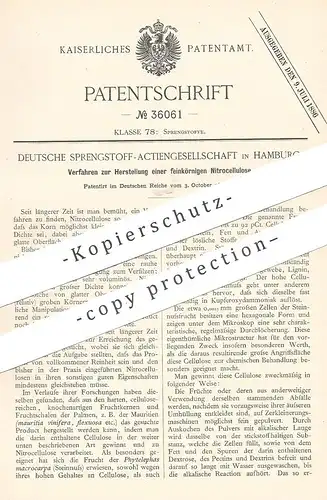 original Patent - Deutsche Sprengstoff AG , Hamburg , 1885 , feinkörnige Nitrocellulose | Cellulose | Steinnuss , Nuss