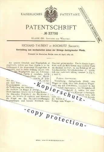 original Patent - Richard Taubert in Rochlitz , 1885 , Lösen der Stränge durchgehender Pferde , Pferdegeschirr , Kutsche