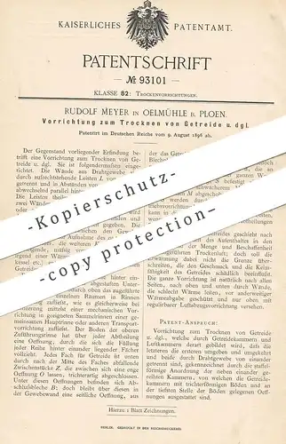 original Patent - Rudolf Meyer , Oelmühle / Ploen , 1896 , Trocknen von Getreide | Stroh , Landwirtschaft | Heu