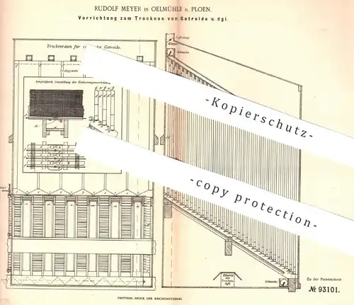 original Patent - Rudolf Meyer , Oelmühle / Ploen , 1896 , Trocknen von Getreide | Stroh , Landwirtschaft | Heu