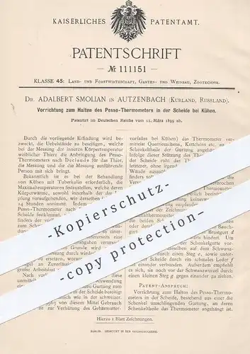 original Patent - Dr. Adalbert Smolian , Autzenbach / Kurland / Russland , 1899 , Halten von Pesso - Thermometer | Kühe