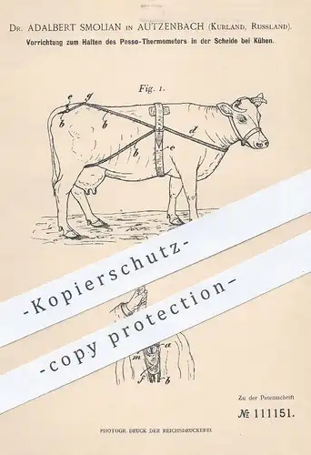 original Patent - Dr. Adalbert Smolian , Autzenbach / Kurland / Russland , 1899 , Halten von Pesso - Thermometer | Kühe