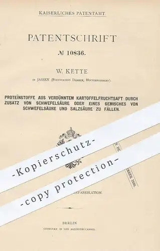 original Patent - W. Kette , Jassen / Dambee , Pommern , 1879 , Proteïnstoff aus Kartoffelfruchtsaft u. Schwefelsäure