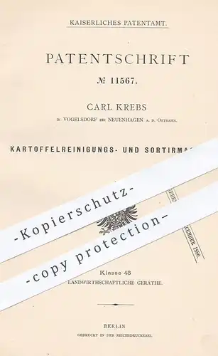 original Patent - Carl Krebs , Vogelsdof / Neuenhagen , 1880 , Kartoffeln reinigen u. sortieren | Landwirtschaft | Ernte